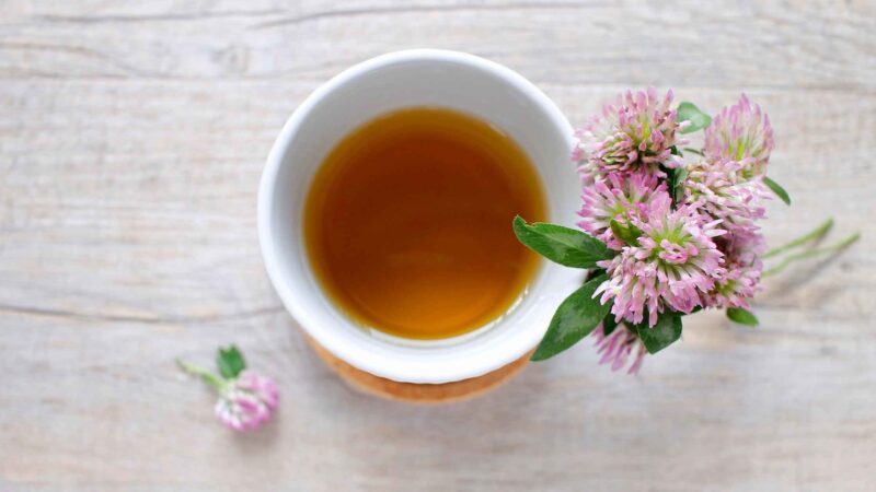 Explore 6 Incredible Health Benefits of Green Tea That You May Not Aware Of
